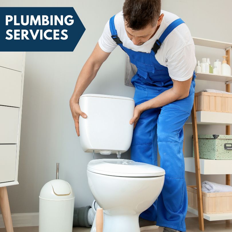 Plumbing Company in Washoe Valley, NV